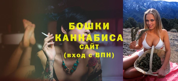 дурь Бежецк