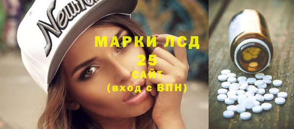 гидра Аша