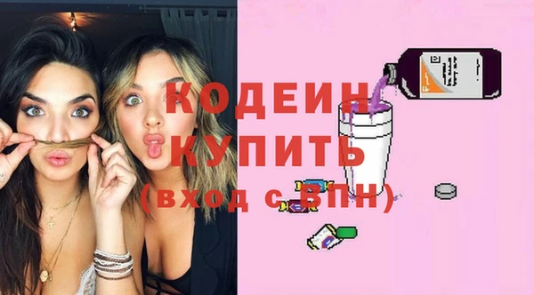 гидра Аша