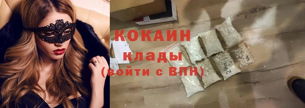 гидра Аша