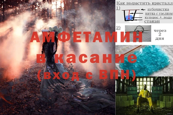 гидра Аша