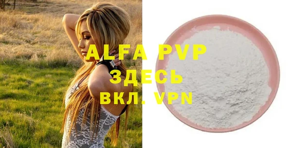 гидра Аша