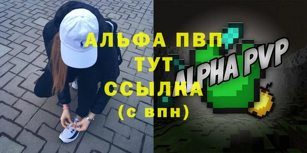 индика Бугульма